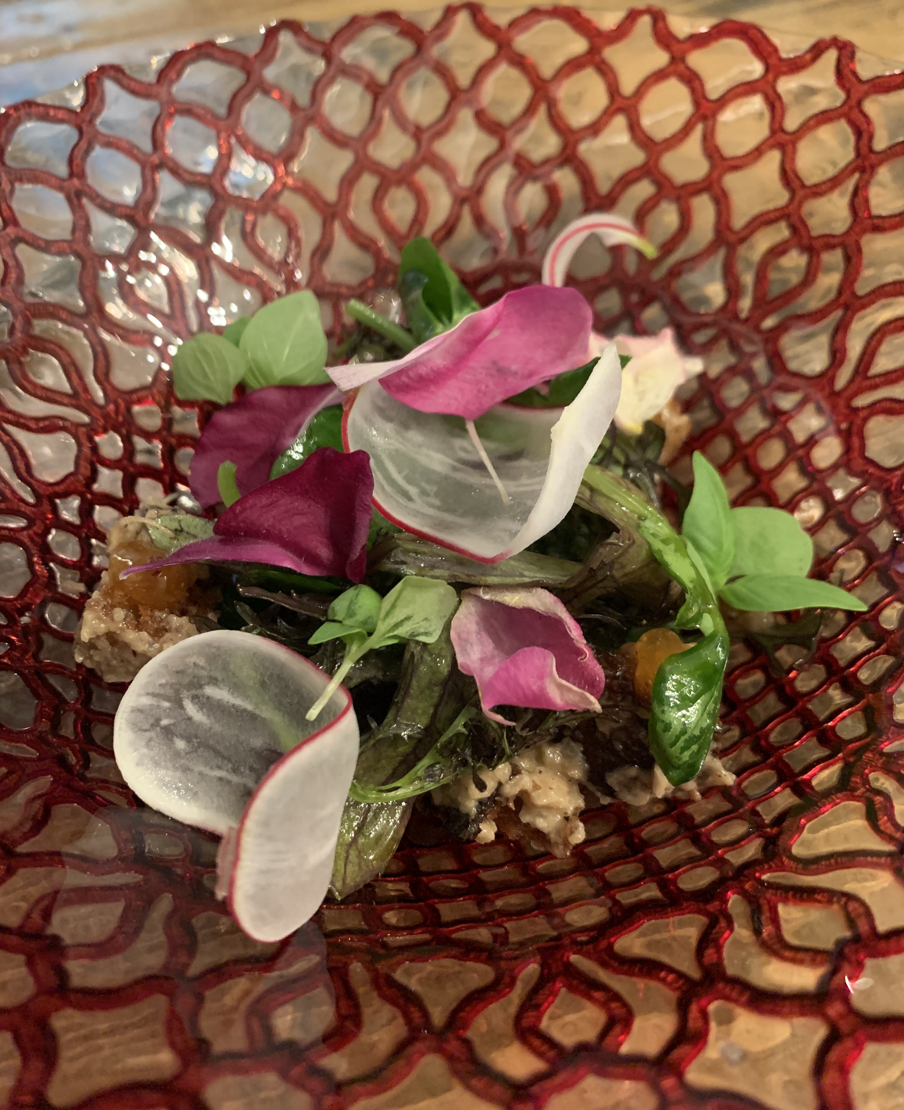 Brightly-coloured salad served in a translucent plate with red scrollwork, featuring light green leaves, pink petals, and crutons dressed in a dark brown sauce.