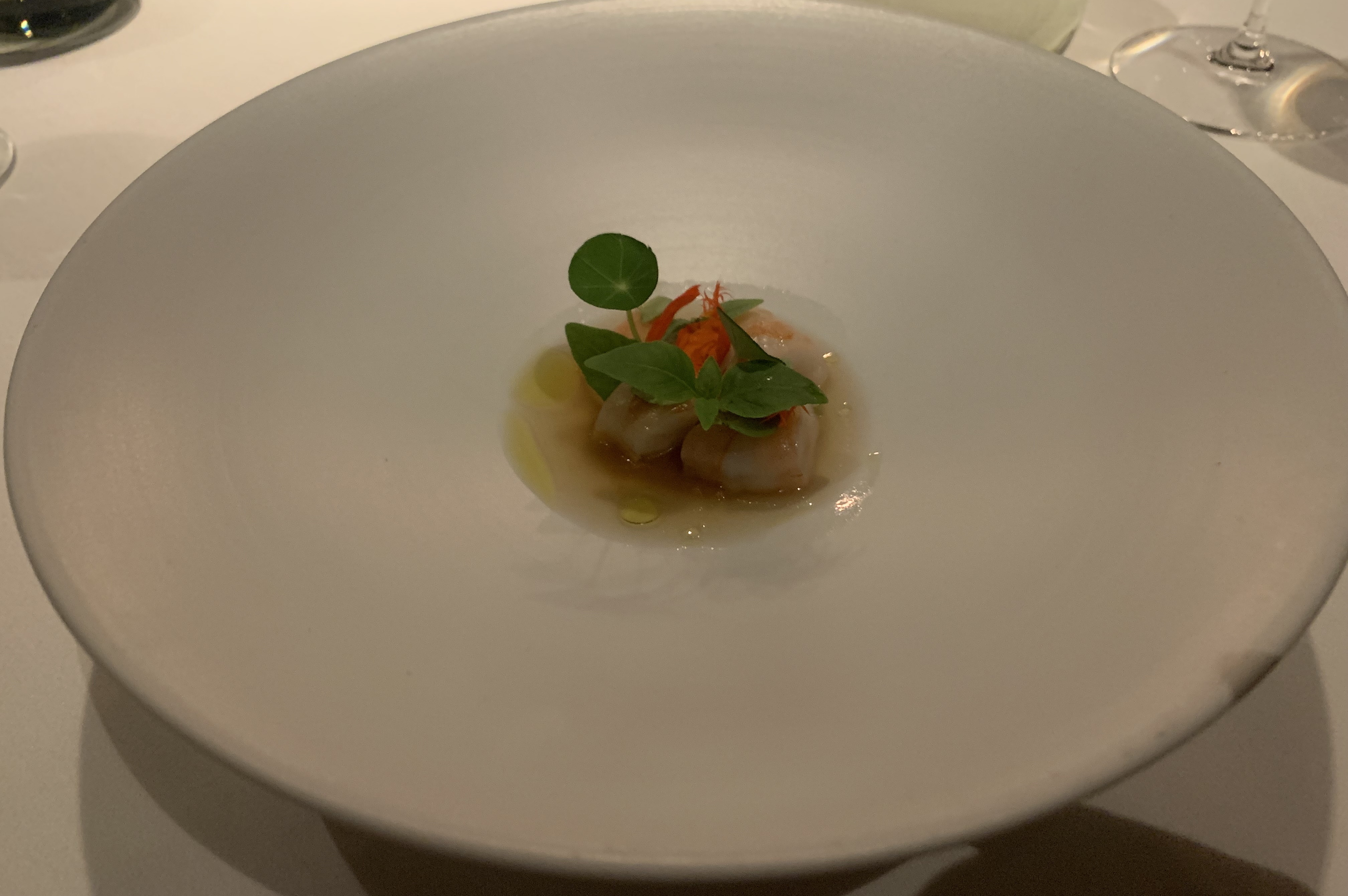 Very large white plate, with a tiny circle of golden broth in the center. In the broth are a few chunks of cut-up prawns, garnished with some green leaves and a red flower.