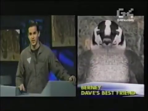 A split-screen talk-show style frame from a TV show. On the left is a man in a jump suit, with several screens showing 00s-era MMOs behind him. On the right is a low-poly poorly-textured 3D badger. The chyron says the badget is Berney, Dave's Best Friend.