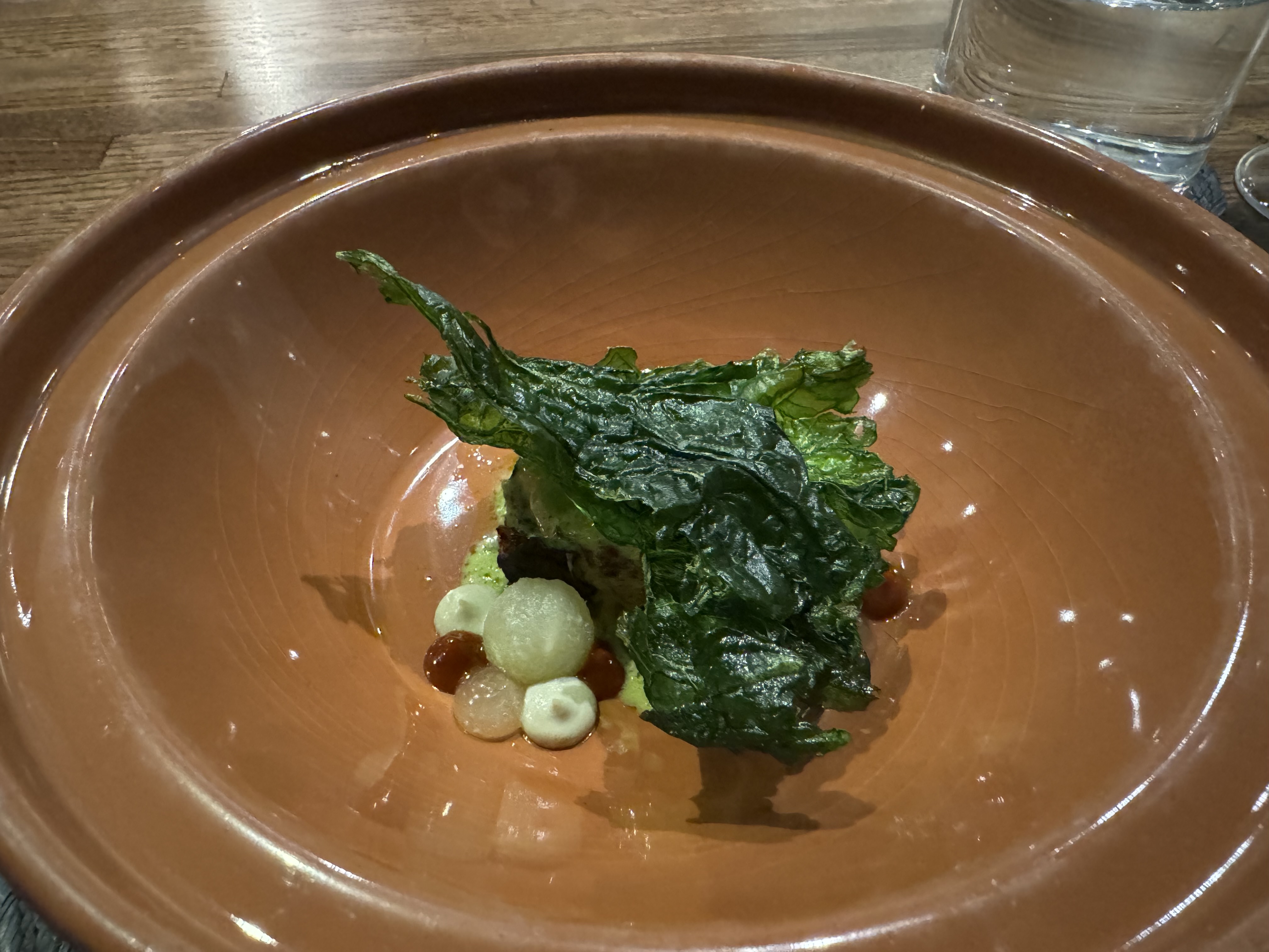 Brown bowl with some dollops of white sauce, off-white gel, red sauce, light green sauce, and balls of a light-green fruit. There is cod in the dish, but it's hidden completely by a large, rigid leaf of a dark green hue.