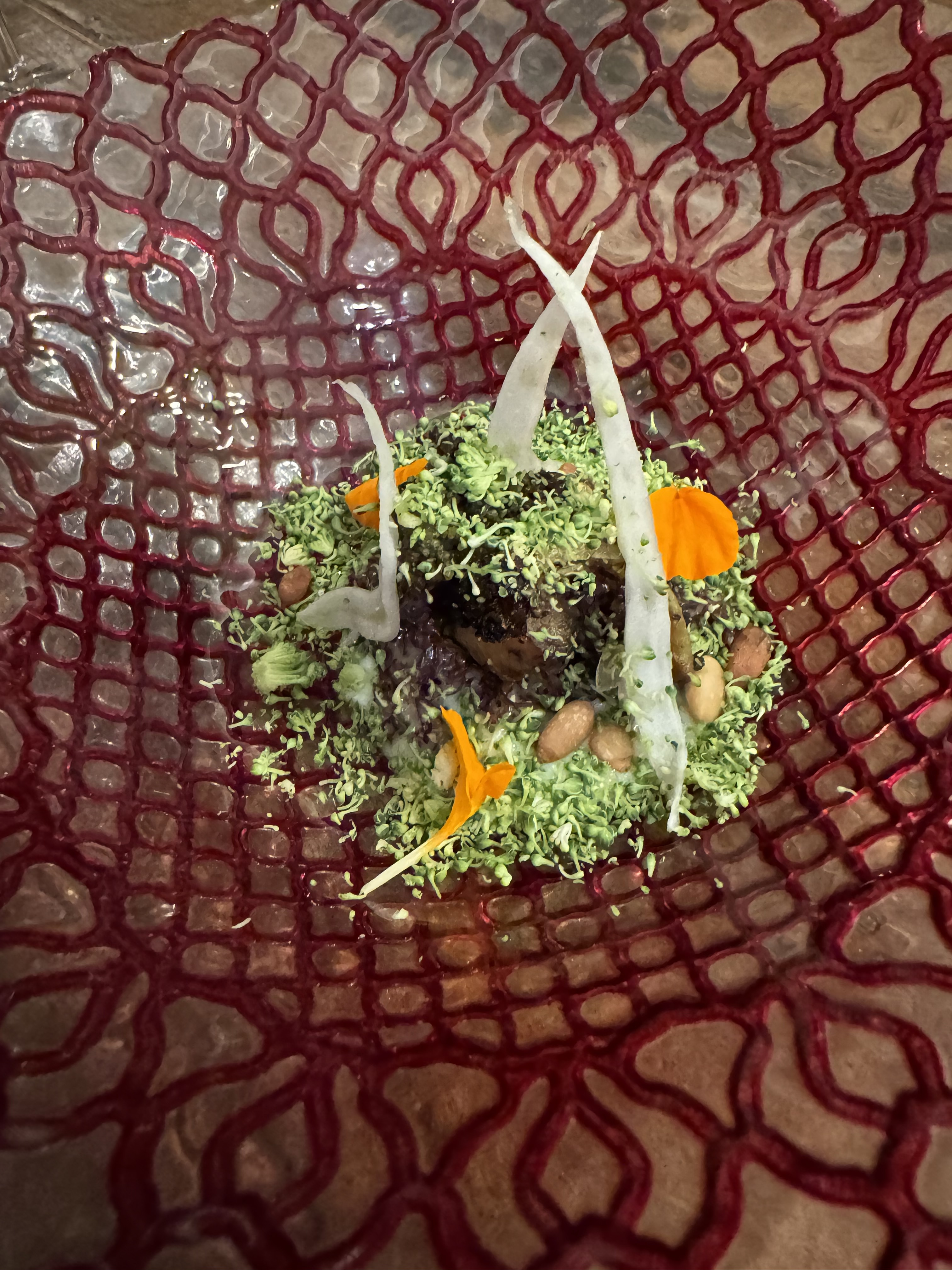 Large red bowl with a heavy green dust. The green are the tips of broccoli buds; underneath the layer of green are pine nuts and some deep-brown roasted veggies.