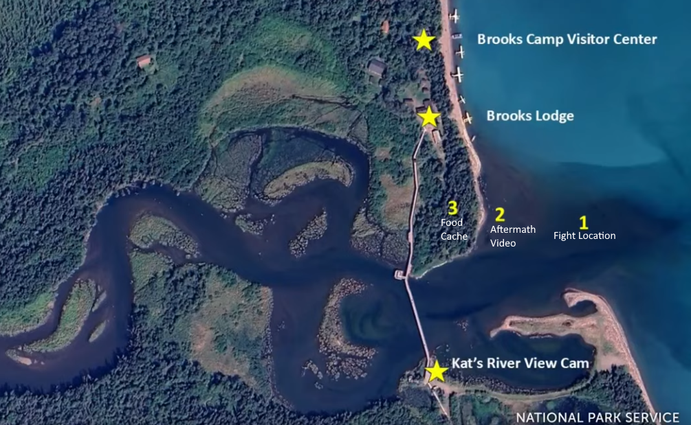 Map of the Brook's river mouth and surrounding area, with some locations marked. The webcam, brooks lodge, and visitor center are marked with a star. Out in the water, locations are marked 1 "fight location", 2 "aftermath video", and 3 "food cache". The food cache is relatively close to the lodge.