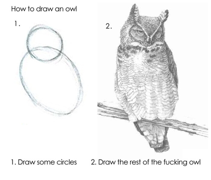 'How to draw an owl' meme. Step 1 is some rough circles that vaguely resemble and owl, captioned 'draw some circles'. Step 2 is a detailed rendering of an owl with hundreds of individual feathers, captioned 'draw the rest of the fucking owl'.